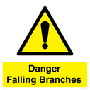danger-falling-branches~